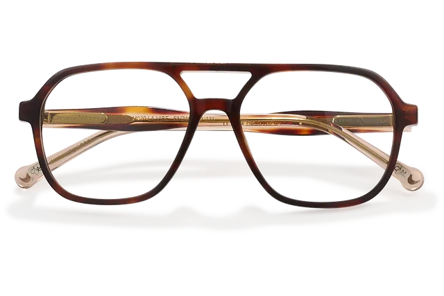 Clémence & Margaux La Vibe lunettes de vue noir écaille double pont