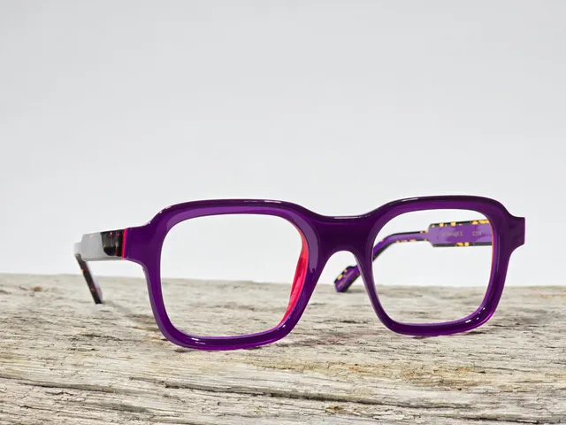 Xavier Derome Aubisque C298 lunettes de vue prune