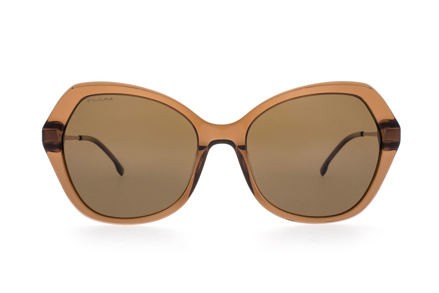 Filium FI S2604 Chicago Brun lunettes de soleil dégradé