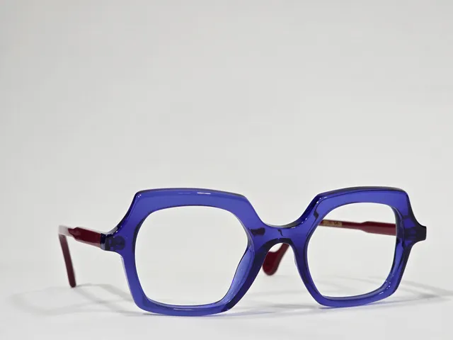 Xavier Derome Epsilon C289 lunettes bleu roi bordeaux