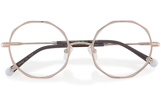 Clémence & Margaux L'Artista lunettes de vue Gris & Doré ronde