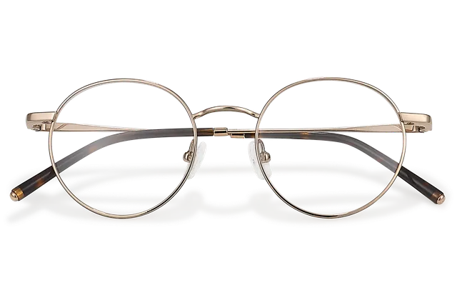 Clémence & Margaux Optiques L'Agrégée lunettes de vue Doré classique