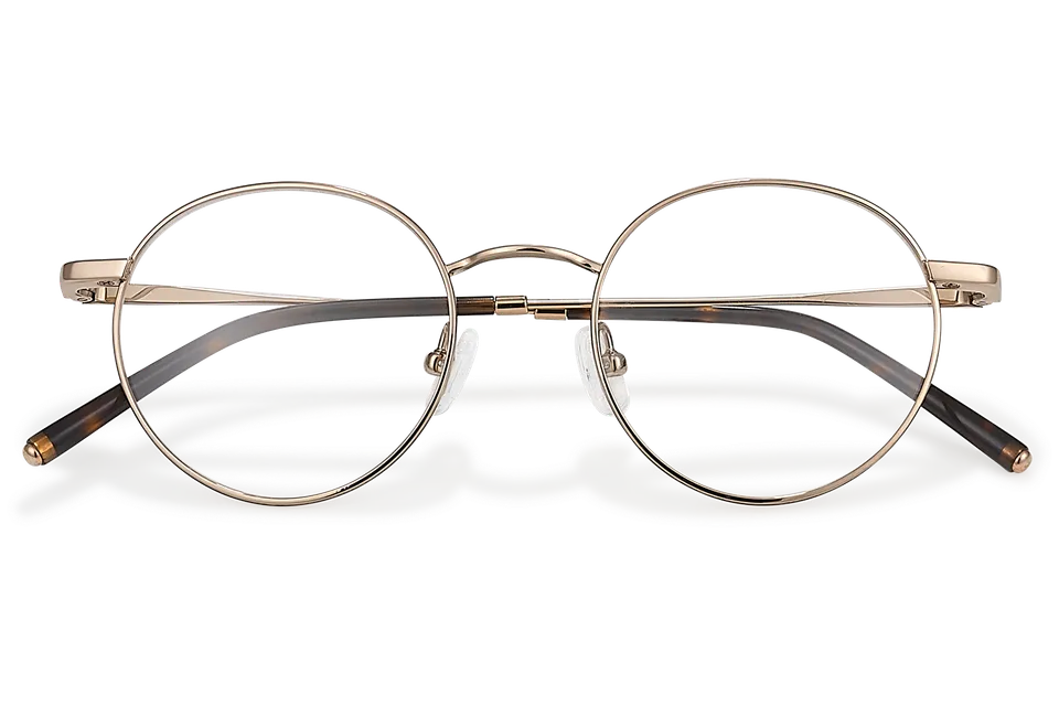 Clémence & Margaux Optiques L'Agrégée lunettes de vue Doré classique