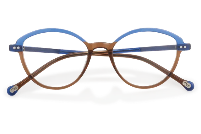 Clémence & Margaux La Tendre lunettes de vue Brun & Bleu ovale
