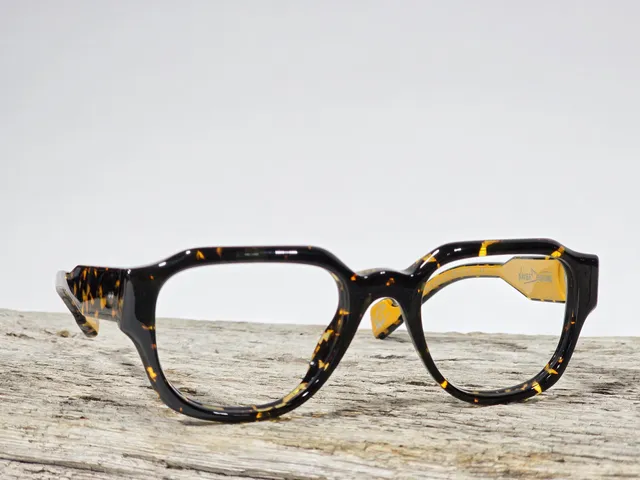 Xavier Derome Gabin GABIN-C80 lunettes de vue écaille