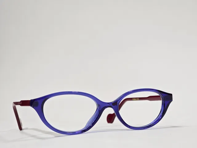 Xavier Derome Gamma C260 monture bleu-violet bordeaux
