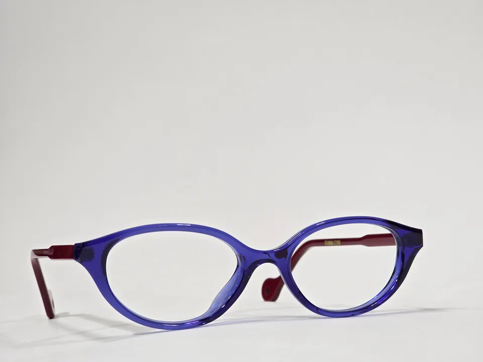 Xavier Derome Gamma C260 monture bleu-violet bordeaux