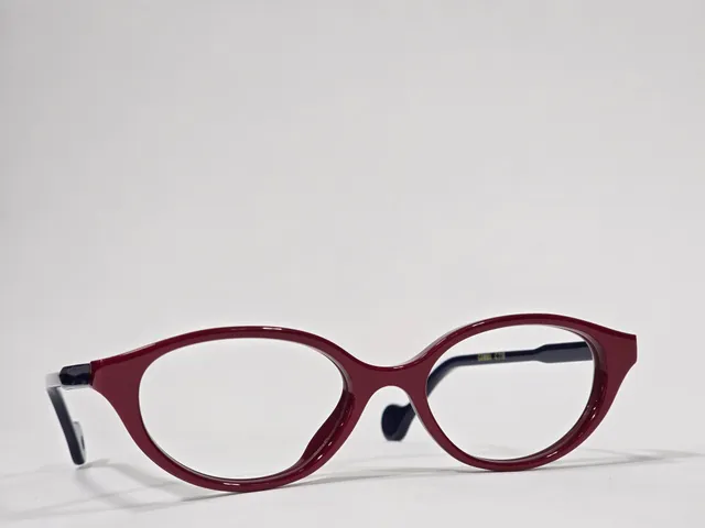 Xavier Derome Gamma GAMMA-C219 monture ovale bordeaux bleu