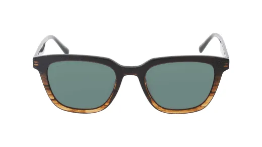 Filium FI S2411 ECAI lunettes de soleil écaille rayée homme