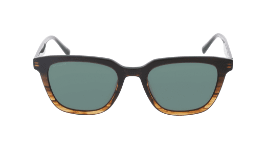 Filium FI S2411 ECAI lunettes de soleil écaille rayée homme