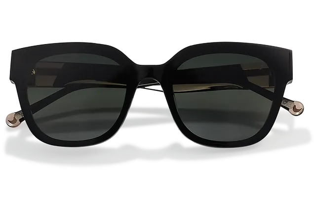 Clémence & Margaux La Calypso lunettes de soleil Noir polarisé verres plats
