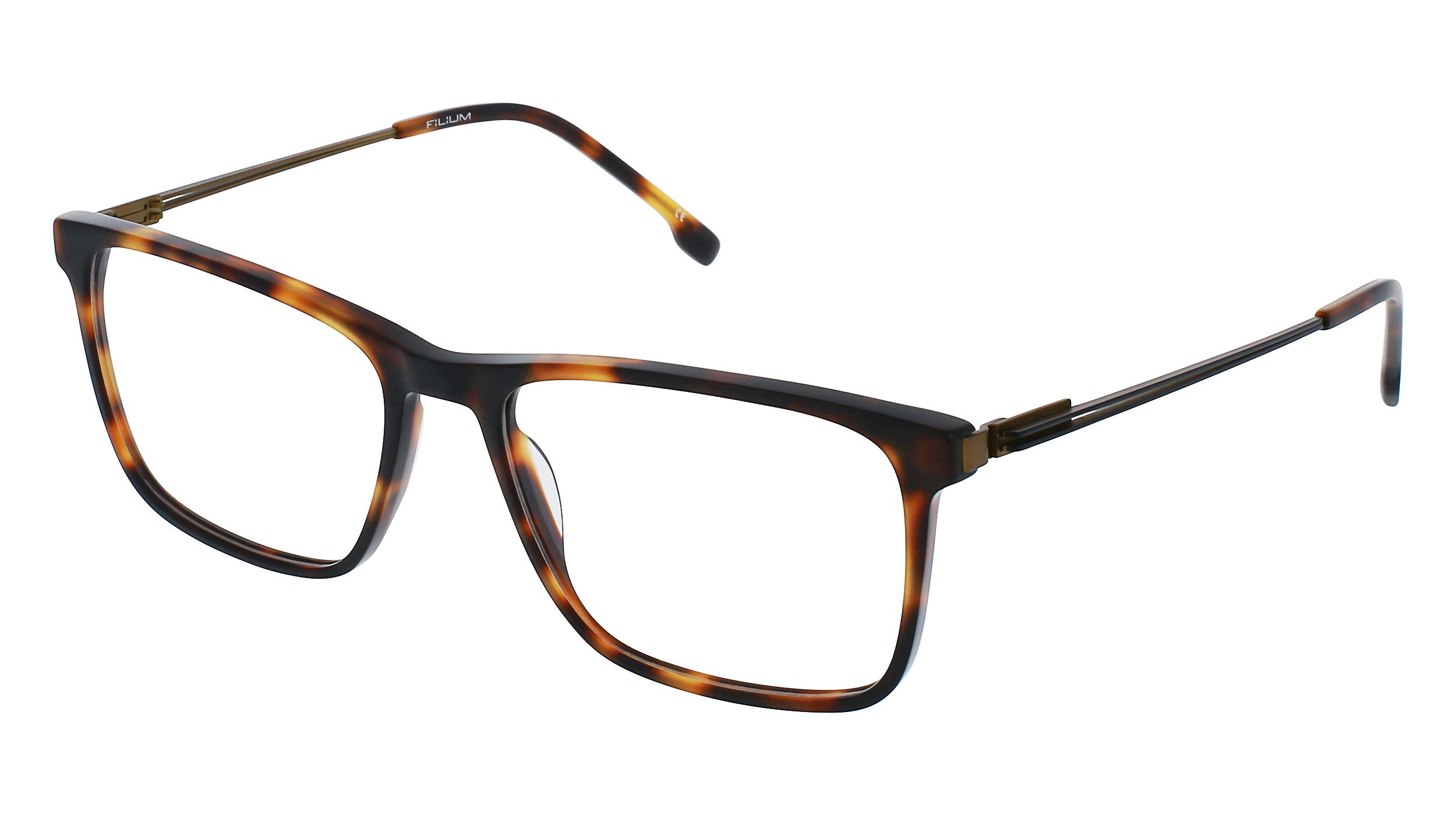 Filium FI 2311 ECNO lunettes de vue écaille homme
