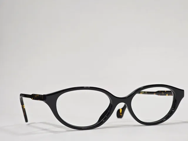 Xavier Derome Gamma C00 lunettes ovales noir écaille