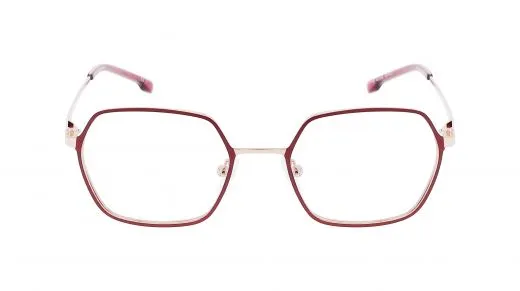 Filium FI 4U 2102 lunettes de vue doré marron brillants
